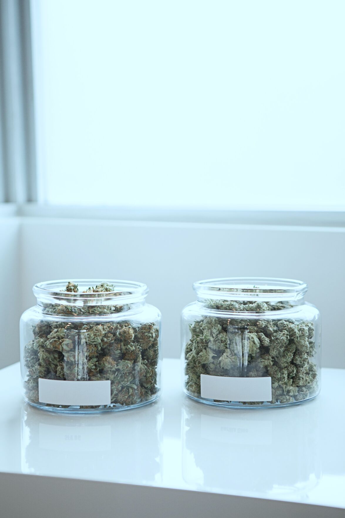 0526_Cov_add-weed-GbXiiO6OrJs-unsplash.jpeg